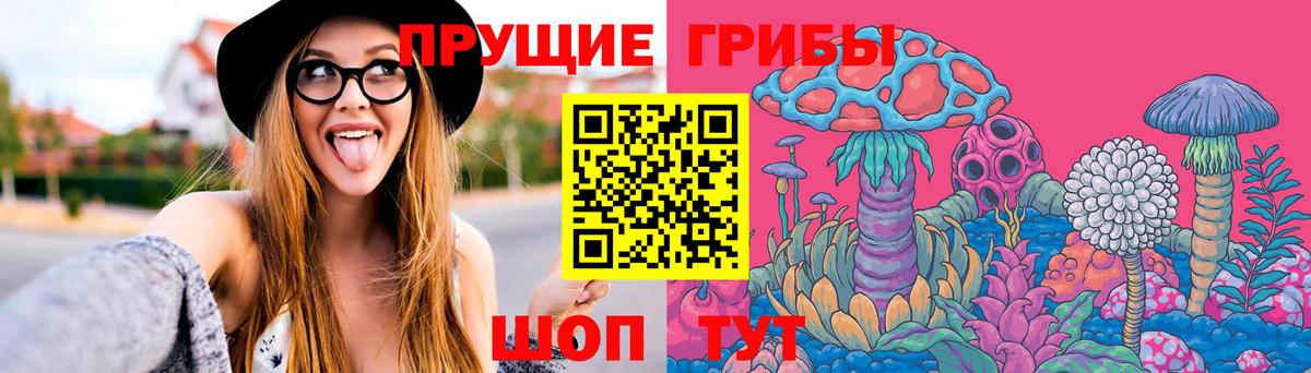 Мценск  Псилоцибиновые грибы Cubensis  Псилоцибиновые грибы Psilocybine cubensis  Вход с VPN 